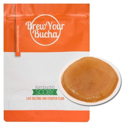 Brew Your Bucha Kombucha Starter Kit, Includes 1 Scoby, Fresh Live Culture and Starter Liquid, Ideal for Beginners, Makes 1 Gallon