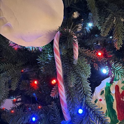 Guest review image 1 of 1, zoom in