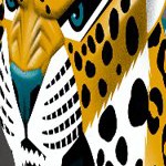 jacksonville jaguars