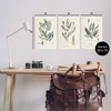 Stupell Industries Green Botanical Latin Study, 10" x 15" - 3 of 4