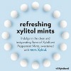 Xyloburst, Xylitol Sweetened Mints, Peppermint, 60 Pieces - 3 of 4