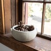 Distressed Gray Terracotta Planter by Foreside Home & Garden - 2 of 4
