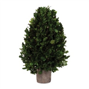Natural Boxwood Foliage Topiary 15.5"H - 1 of 3