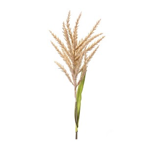 Melrose Astilbe Stem (Set of 12) - 1 of 3