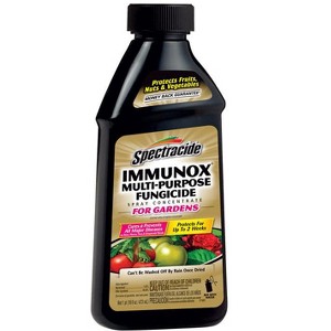 Spectracide Immunox Concentrated Liquid Garden Fungicide 16 oz - 1 of 1