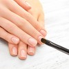 Unique Bargains Double Head Nail Painting Brushes for Polish Painting Home DIY Clear Gray 1 Pc - 2 of 4