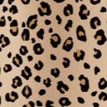 classic leopard
