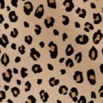 classic leopard