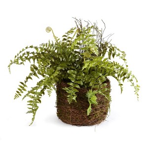 Plum & Post Boston Fern Rustic Drop-In 12" - 1 of 3