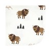 Hudson Baby Flannel Cotton Washcloths, Wild Buffalo 10 Pack, One Size - 3 of 4