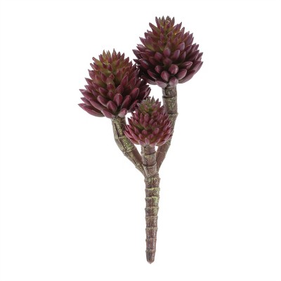 Succulent Plant Pick (Set of 6)