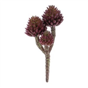 Succulent Plant Pick (Set of 6) - 1 of 3