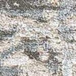 medium gray, taupe, light gray