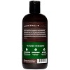  Dr. Squatch Citrus & Cypress Men's Shampoo + Conditioner Hair  Bundle - Keeps Hair Looking Full, Healthy, Hydrated : Beauty & Personal Care