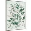 32" x 42" Eucalyptus I Green by Pernille Folcarelli Framed Canvas Wall Art Print - Amanti Art: Oversized Botanical Decor - 2 of 4