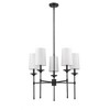 Z-Lite Emily 5 - Light Chandelier in  Matte Black - 3 of 4