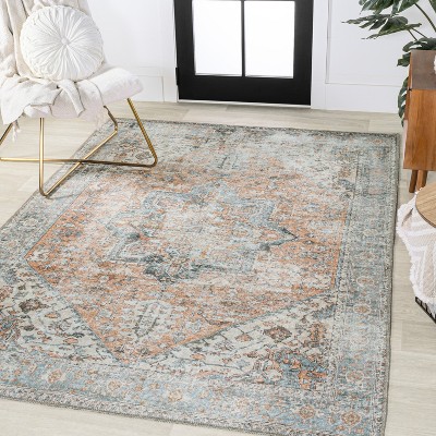 Armae Blue and Terra Distressed Chenille 4' x 6' Area Rug