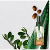 Herbal Essences bio:renew Repairing Hair Mist with Argan Oil & Aloe - 4 fl oz - image 3 of 4