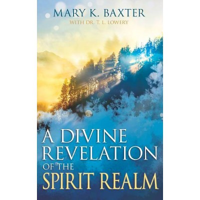 A Divine Revelation of the Spirit Realm - by  Mary K Baxter & T L Lowery (Paperback)