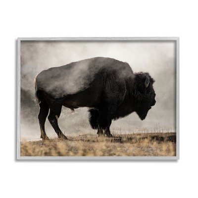 Stupell Industries Powerful Bison Grazing Foggy Rural Pasture Photography Framed Giclee Art