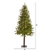 7ft. Alpine Artificial Christmas Tree with 200 Clear Multifunction LED Lights & Pine Cones on Trunk – Holiday X-Mas Display - 2 of 4