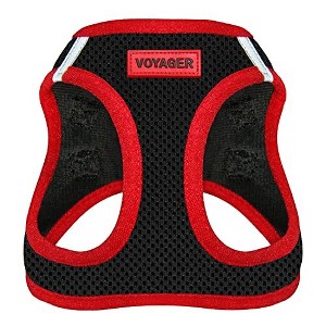 Voyager Step-In Dog Harness for Small and Medium Dogs - 1 of 4