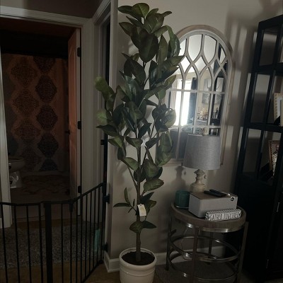 Guest review image 1 of 1, zoom in