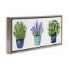 Stupell Industries Varied Potted Plants & Herbs Floating Frame Canvas Art, Brown, 25" x 11" - 2 of 4
