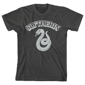 Bioworld Harry Potter Slytherin Clubhouse Youth Charcoal Heather Graphic Tee - 1 of 1