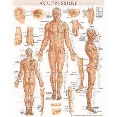 Acupressure Poster (22 X 28 Inches) - Laminated - by  Vincent Perez (Wall_chart)