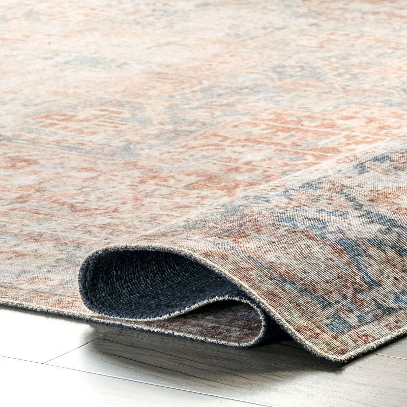 nuLOOM Brianna Traditional Distressed Area Rug, 5 of 11