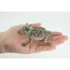 Collectible Wildlife Gifts | Horned Toad, Horny Toad, Horny Lizard, Museum Quality, Hand Painted, Rubber Reptile, Toy, Gift, 5 Inches. CH767 BB192 - 2 of 4