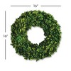 Plum & Post Boxwood Wreath 16" - 3 of 3