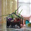 D'Eco Glass Geometric Plant Terrarium 3Pk - Hanging Brass Triangle, House & Prism Planters - Home, Office Decor- Gift for Plant Lovers & Mother's Day - 4 of 4