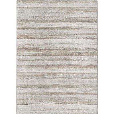 Hauteloom Rectangle Area Rug   Light Gray