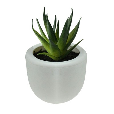 Northlight 3.5" Succulent Artificial Potted Plant Table Top Decoration - Green/White