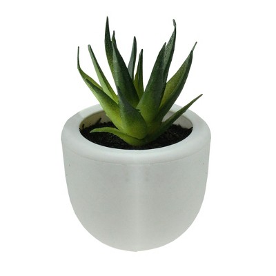 Northlight 3.5" Succulent Artificial Potted Plant Table Top Decoration - Green/White