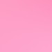 pink cosmos