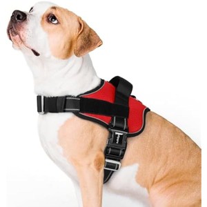 rabbitgoo Dog Harness for Large, Easy On Pet Vest with One Buckle, No Pull  Handle, Reflective for Safety Walking, Training, Red, L - 1 of 1