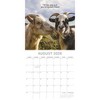 2026 Square Wall Calendar, Best Friends, 16-Month Cute Theme with 180 Reminder Stickers (12x12 In) - 3 of 4