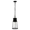 Laela 8.4" Outdoor Pendant - PLT4035 - Black - Safavieh - 2 of 4