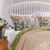 Greenland Home Fashions 2006BKS Dandelion Taupe King Pillow Shams, 20x36 Inches - 2 of 3