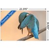 Trends International The Comedy Wildlife Photography Awards: Antonio Medina - Ashamed Unframed Wall Poster Prints - 3 of 4