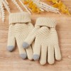Hadley Wren Bailey Knit Gloves - Beige - 2 of 4