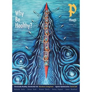 Plough Quarterly No. 44 - Why Be Healthy? - (Paperback) - 1 of 1