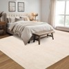 Machine Washable Area Rug With Non-Slip Backing Stain Resistant Easy Cleaning Indoor Carpet For Living Room Bed Dining Room Playroom Office - 3 of 4