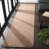 Retreat RTE254 Power Loomed UV Resistant, Stain Resistant, Non-Shedding Indoor/Outdoor Rugs - Safavieh - 3 of 4
