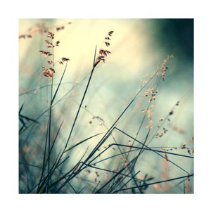 Trademark Fine Art - Beata Czyzowska Young To The Beach Matted Framed Art - 1 of 4