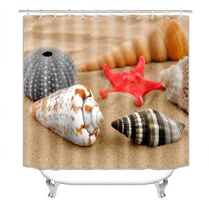 All Kinds Of Shells On The Beach Shower Curtains for Bathroom Waterproof Fabric Bath Curtain Durable Soft Stylish Bathroom Decor 72x72 Inch - 1 of 1