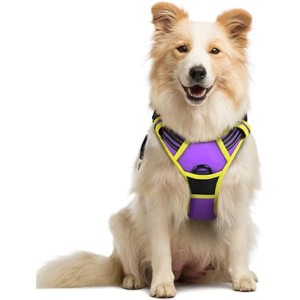 rabbitgoo Dog Harness No Pull with 2 Leash Clips, Oxford No Choke Pet Vest with Easy Control Handle for Medium Sized Dogs, Purple & Yellow, M - 1 of 1